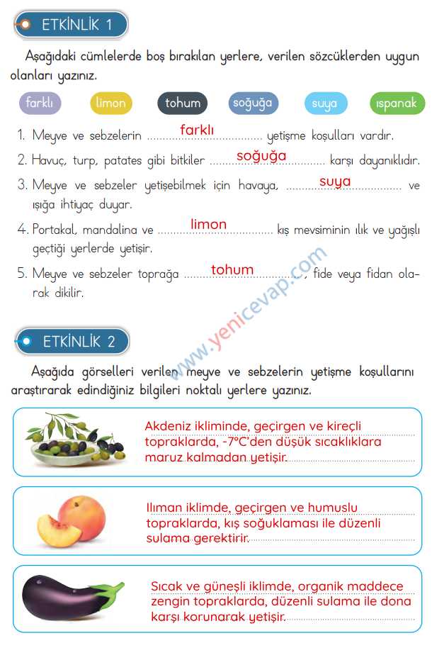 3. Sınıf Hayat Bilgisi Kitabı Sayfa 190 192 193 195 Cevapları Meb