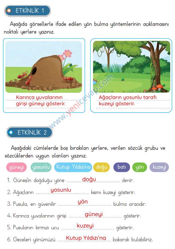 3. Sınıf Hayat Bilgisi Kitabı Sayfa 190 192 193 195 Cevapları Meb