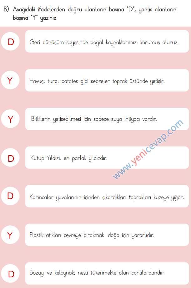 3. Sınıf Hayat Bilgisi Kitabı Sayfa 203 204 205 206 Cevapları Meb