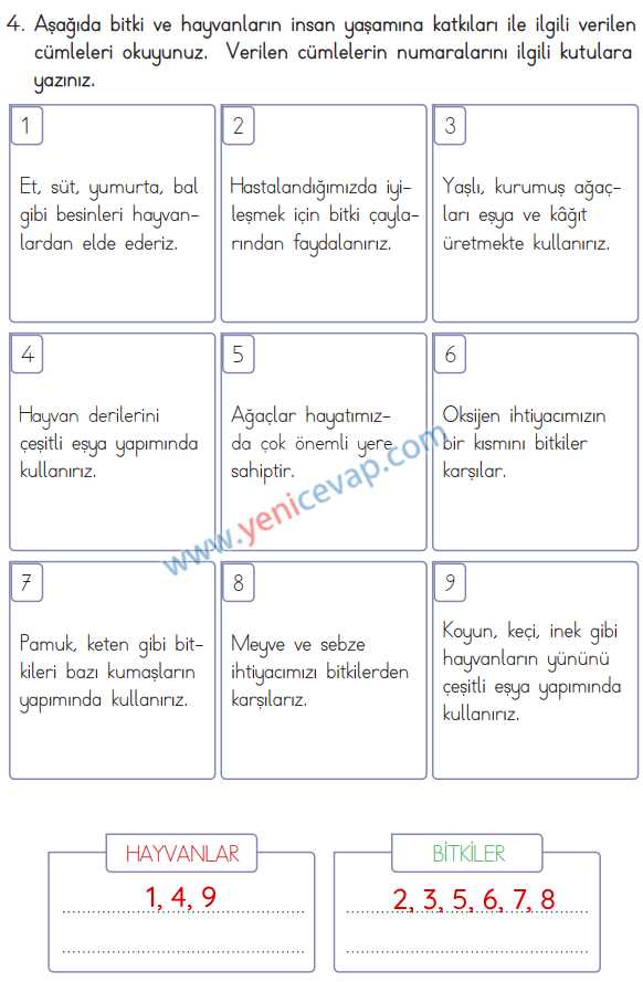 3. Sınıf Hayat Bilgisi Kitabı Sayfa 207 208 209 210 216 Cevapları Meb