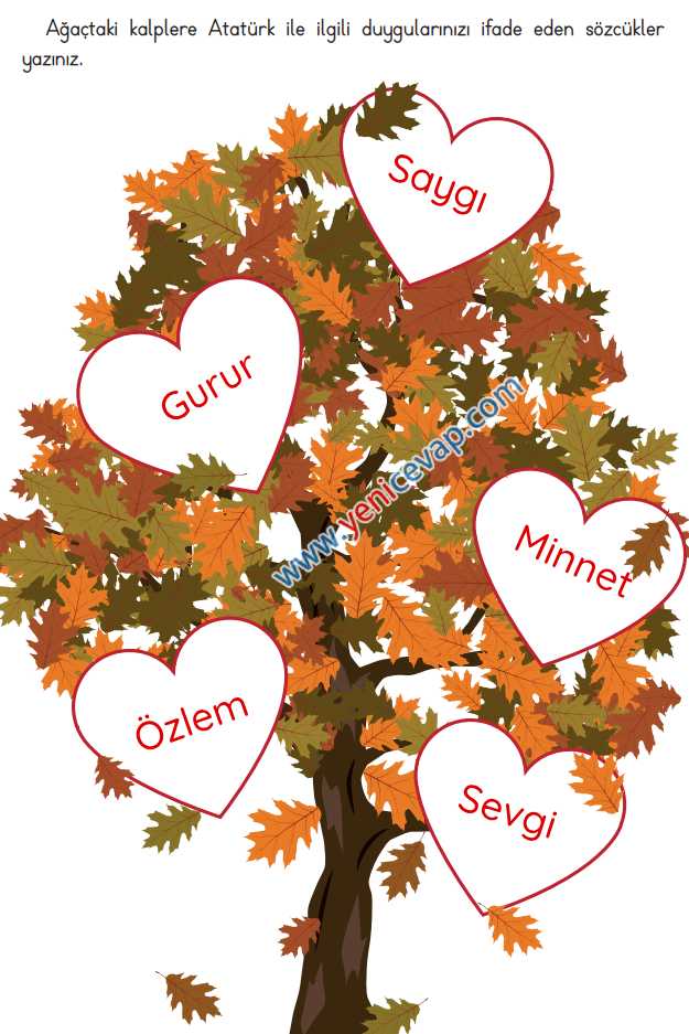 3. Sınıf Hayat Bilgisi Kitabı Sayfa 84 85 88 90 Cevapları Meb