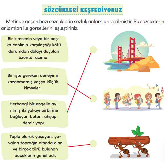 3. Sınıf Türkçe Kitabı Sayfa 98 101 102 Cevapları Meb