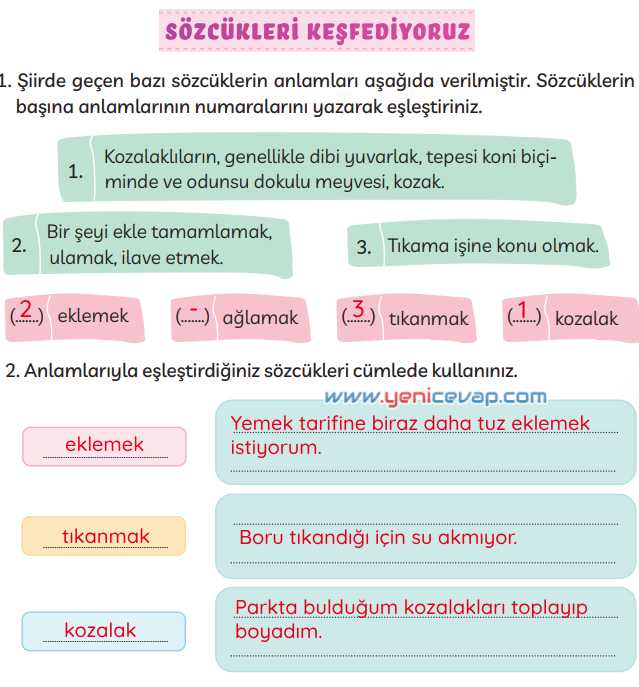 3. Sınıf Türkçe Kitabı Sayfa 117 119 120 121 Cevapları Meb