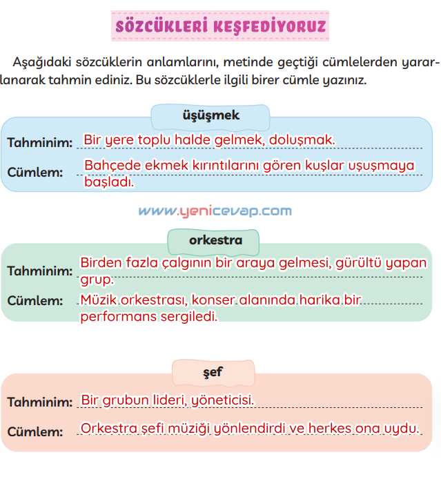 3. Sınıf Türkçe Kitabı Sayfa 143 144 145 Cevapları Meb