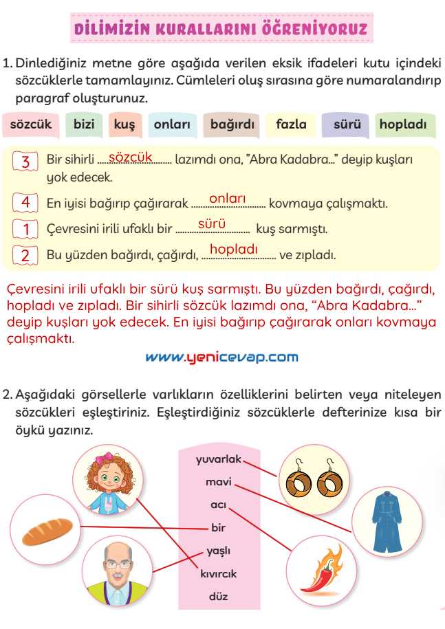 3. Sınıf Türkçe Kitabı Sayfa 146 147 148 Cevapları Meb