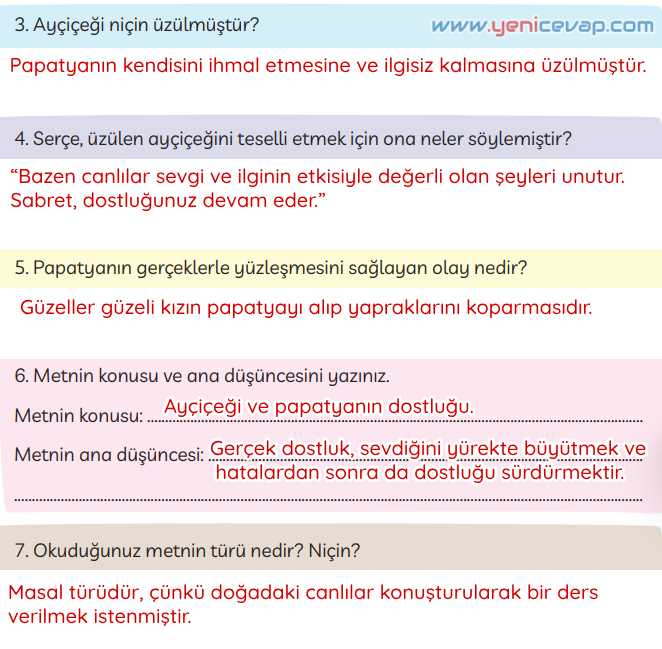 3. Sınıf Türkçe Kitabı Sayfa 160 161 162 Cevapları Meb
