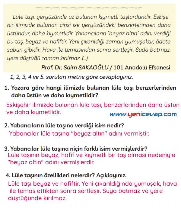 3. Sınıf Türkçe Kitabı Sayfa 220 222 223 Cevapları Meb