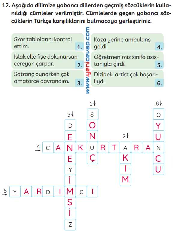 3. Sınıf Türkçe Kitabı Sayfa 224 225 227 Cevapları Meb
