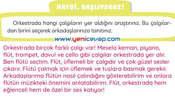3. Sınıf Türkçe Kitabı Sayfa 228 231 232 Cevapları Meb