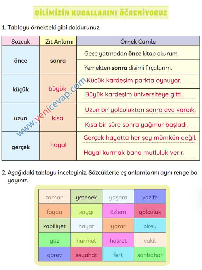 3. Sınıf Türkçe Kitabı Sayfa 246 247 248 Cevapları Meb