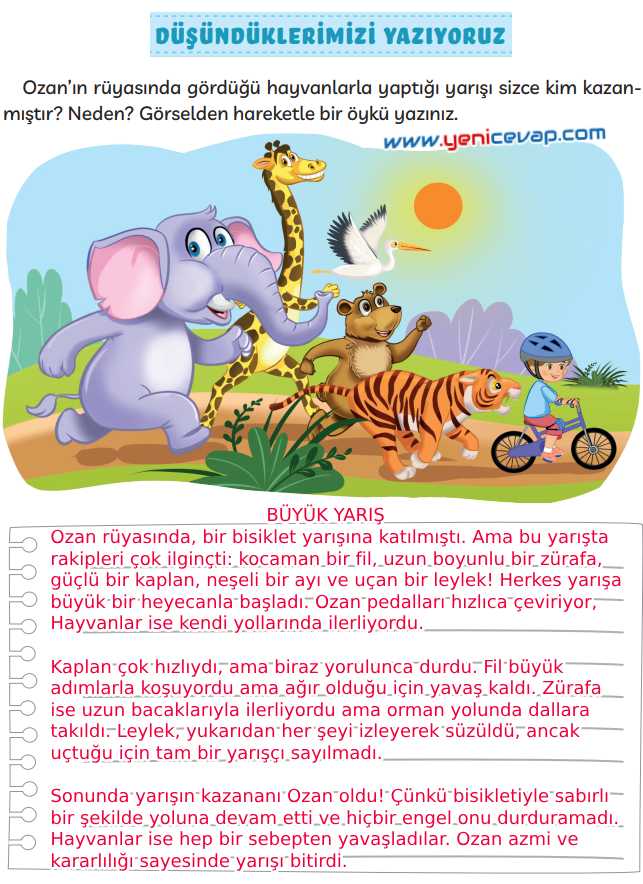 3. Sınıf Türkçe Kitabı Sayfa 24 26 27 Cevapları Meb