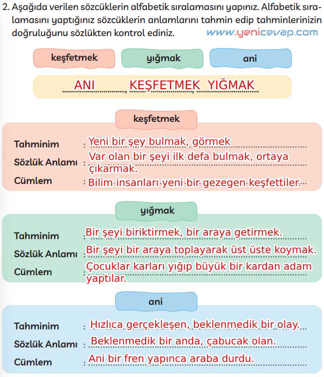 3. Sınıf Türkçe Kitabı Sayfa 31 36 37 Cevapları Meb