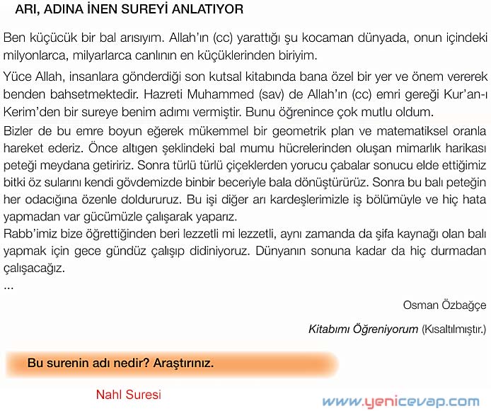 4. Sınıf Din Kültürü Kitabı Sayfa 43 45 46 49 Cevapları Meb