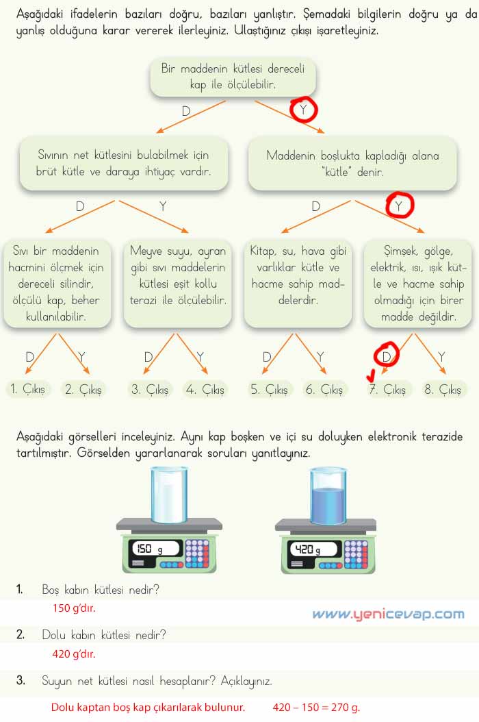4. Sınıf Fen Bilimleri Kitabı Sayfa 110 111 112 114 Cevapları Meb