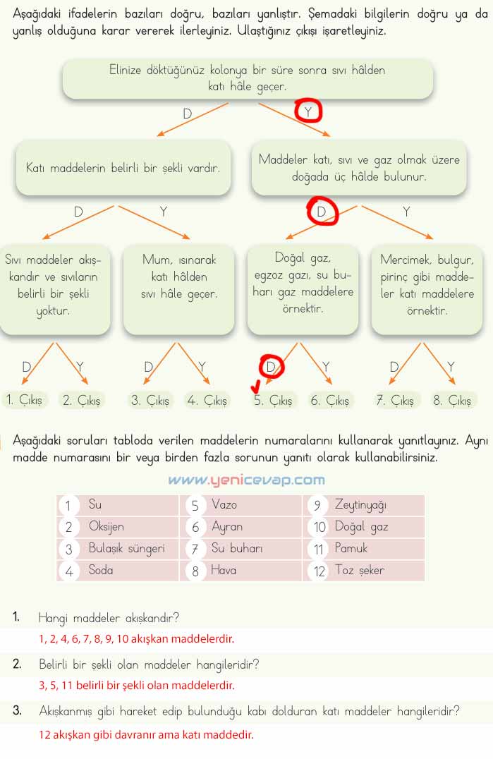4. Sınıf Fen Bilimleri Kitabı Sayfa 115 116 117 120 Cevapları Meb