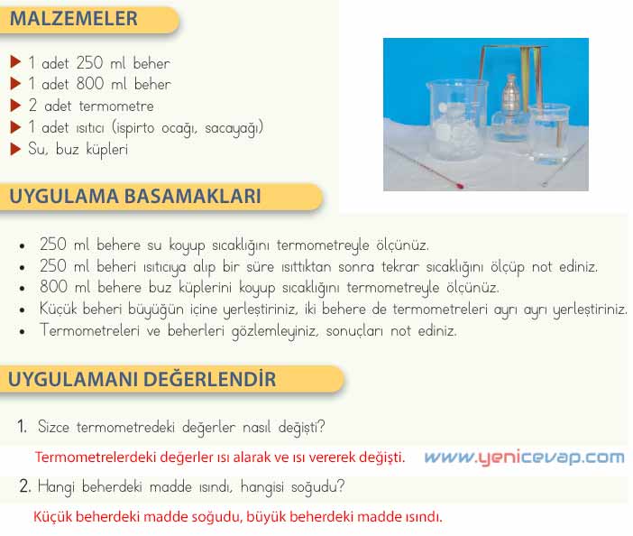 4. Sınıf Fen Bilimleri Kitabı Sayfa 115 116 117 120 Cevapları Meb