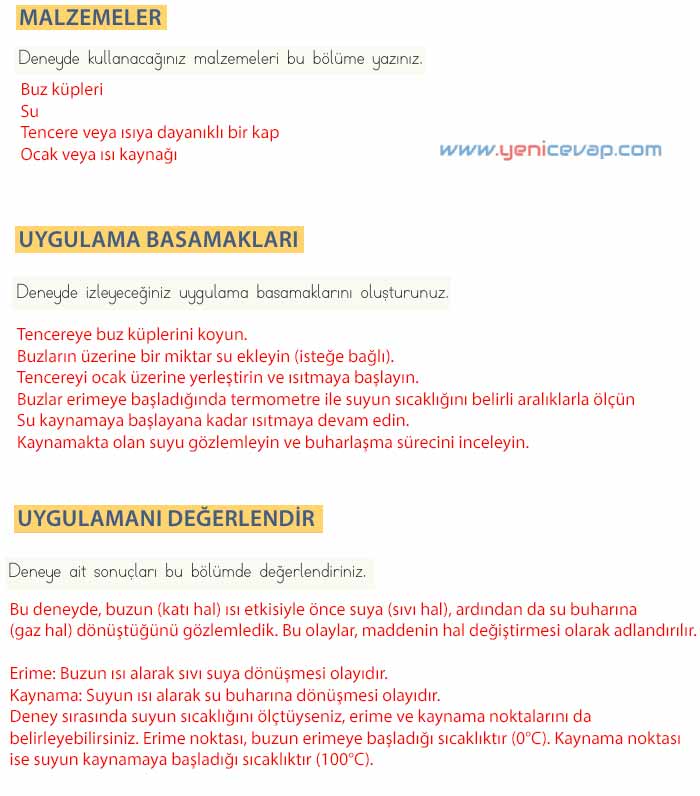 4. Sınıf Fen Bilimleri Kitabı Sayfa 121 122 123 125 Cevapları Meb