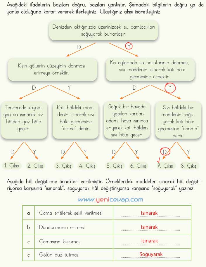 4. Sınıf Fen Bilimleri Kitabı Sayfa 121 122 123 125 Cevapları Meb