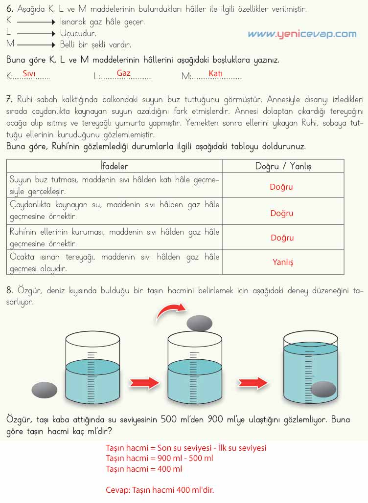 4. Sınıf Fen Bilimleri Kitabı Sayfa 134 135 136 137 Cevapları Meb