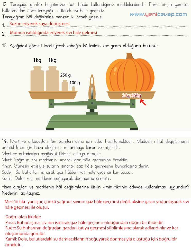 4. Sınıf Fen Bilimleri Kitabı Sayfa 134 135 136 137 Cevapları Meb