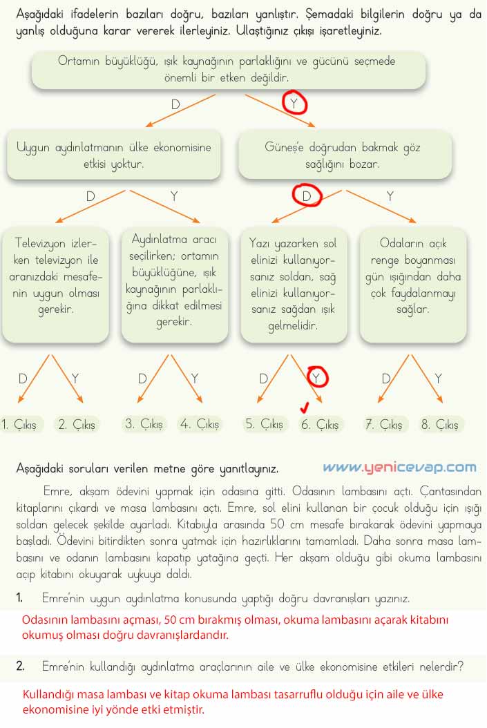 4. Sınıf Fen Bilimleri Kitabı Sayfa 146 147 149 150 153 Cevapları Meb