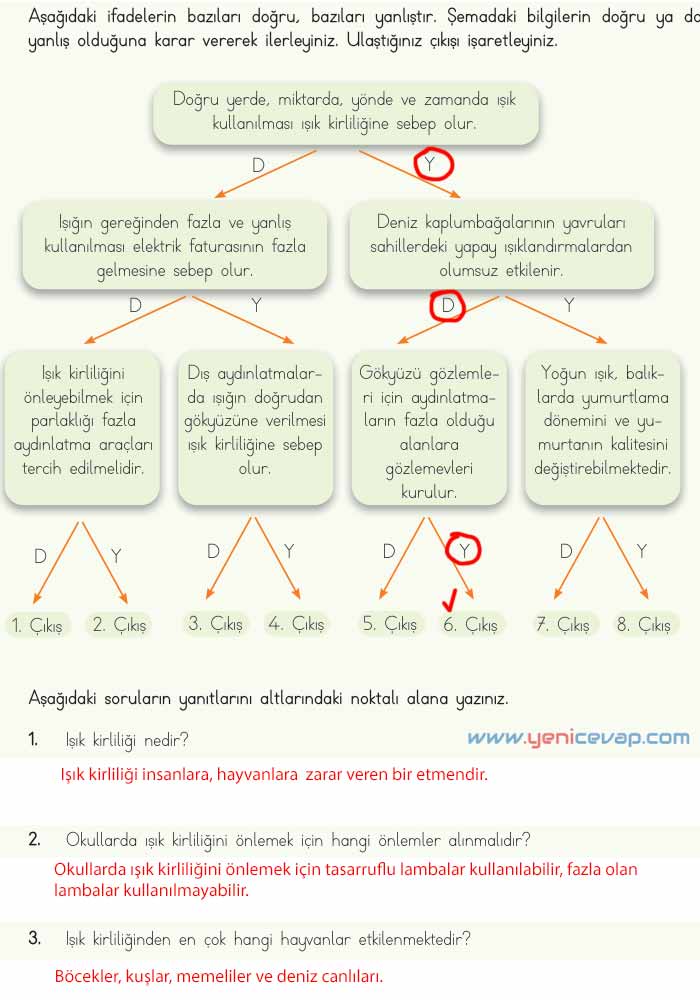 4. Sınıf Fen Bilimleri Kitabı Sayfa 154 157 158 159 Cevapları Meb