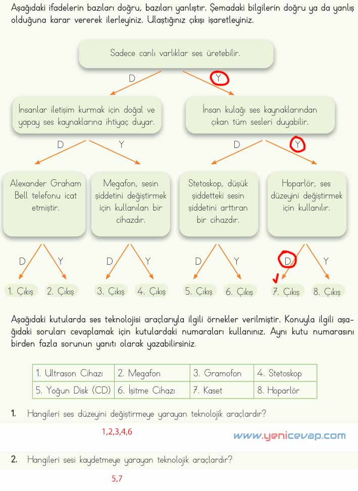 4. Sınıf Fen Bilimleri Kitabı Sayfa 160 162 164 165 166 Cevapları Meb