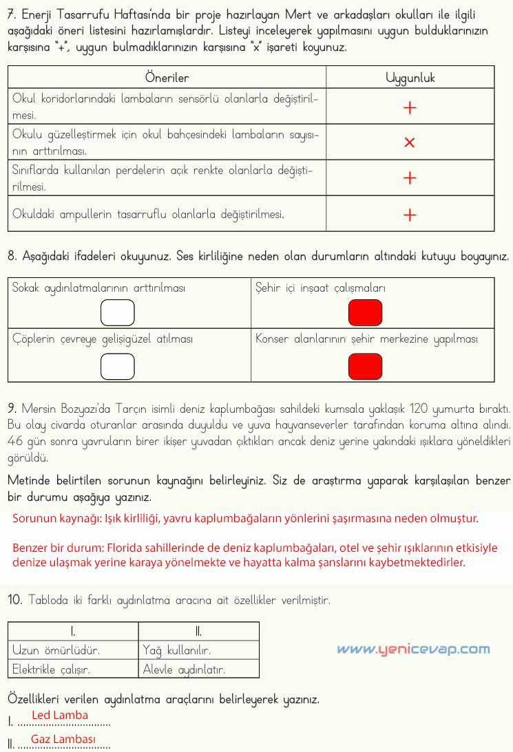 4. Sınıf Fen Bilimleri Kitabı Sayfa 173 174 175 176 177 Cevapları Meb
