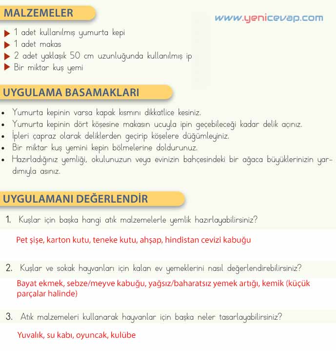 4. Sınıf Fen Bilimleri Kitabı Sayfa 180 184 185 186 188 Cevapları Meb
