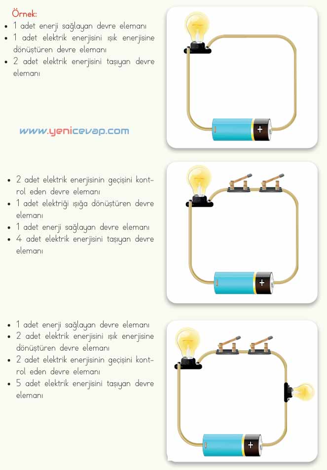 4. Sınıf Fen Bilimleri Kitabı Sayfa 194 195 198 200 201 202 Cevapları Meb