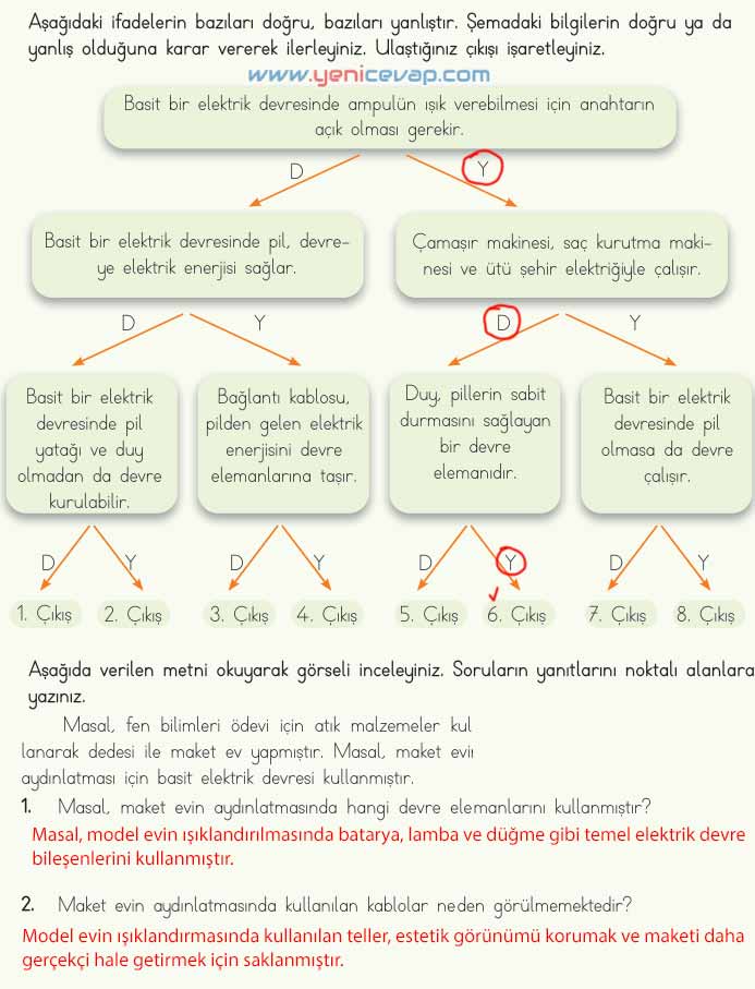 4. Sınıf Fen Bilimleri Kitabı Sayfa 204 205 206 207 208 Cevapları Meb