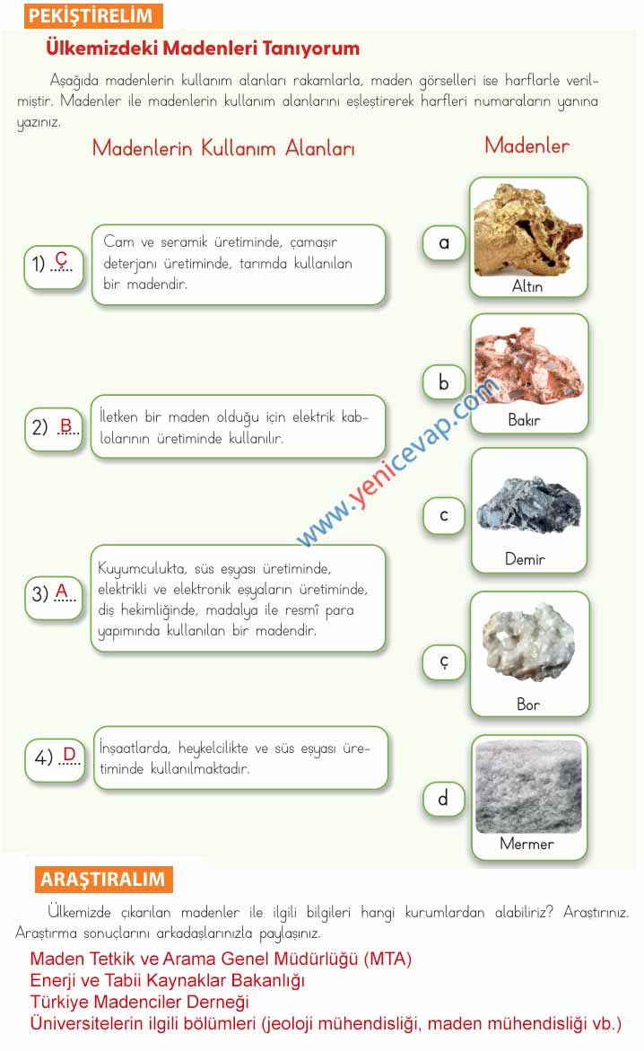 4. Sınıf Fen Bilimleri Kitabı Sayfa 22 25 27 29 Cevapları Meb