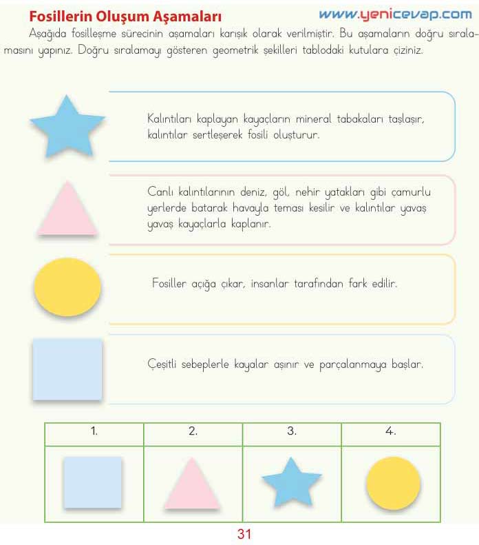 4. Sınıf Fen Bilimleri Kitabı Sayfa 29 31 32 33 Cevapları Meb