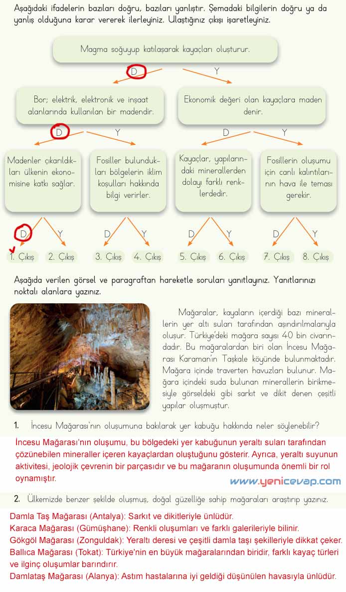 4. Sınıf Fen Bilimleri Kitabı Sayfa 29 31 32 33 Cevapları Meb
