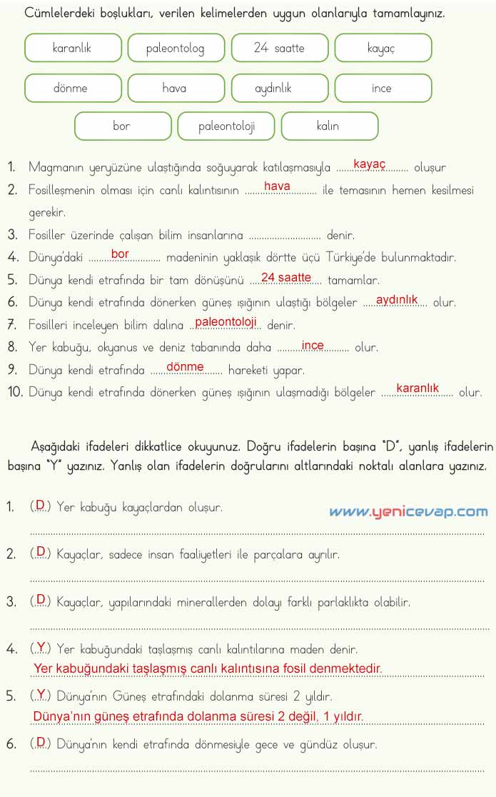 4. Sınıf Fen Bilimleri Kitabı Sayfa 35 36 37 38 39 Cevapları Meb