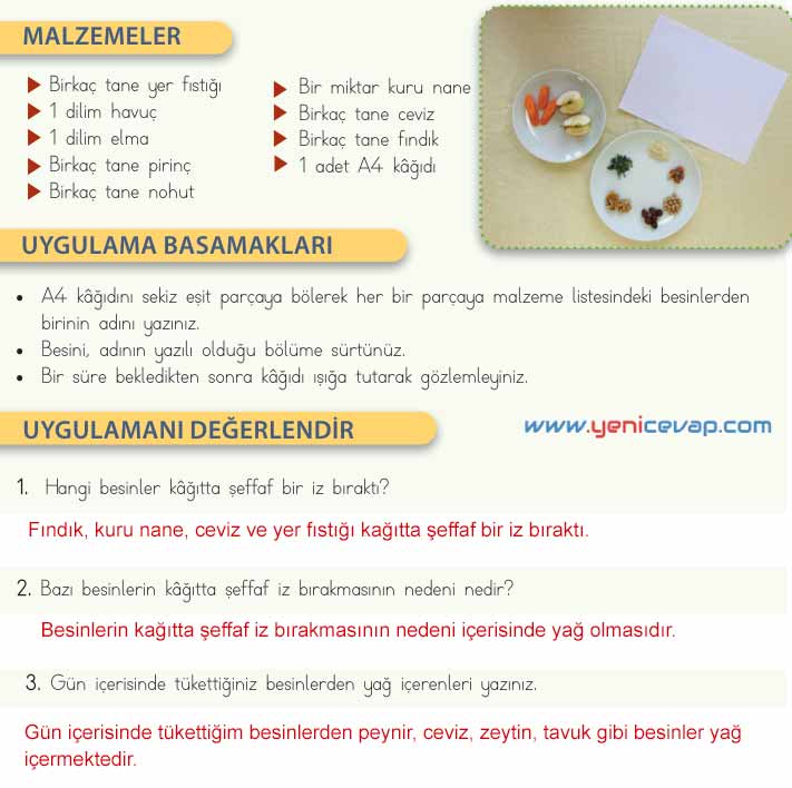 4. Sınıf Fen Bilimleri Kitabı Sayfa 46 47 48 49 50 Cevapları Meb