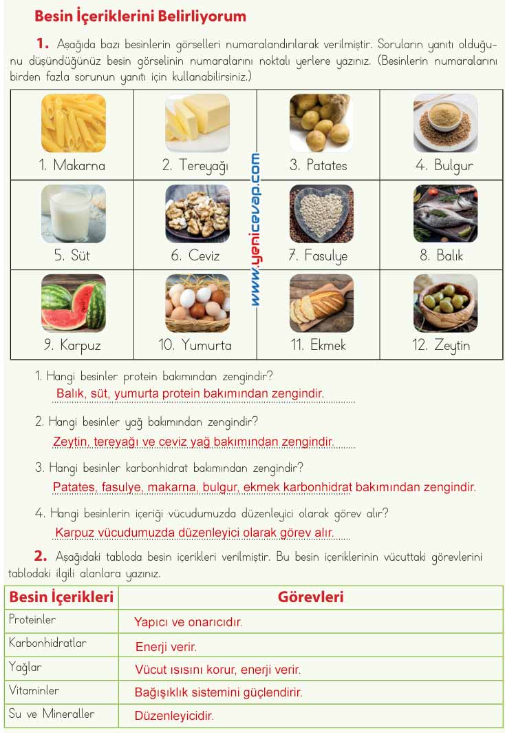 4. Sınıf Fen Bilimleri Kitabı Sayfa 51 52 54 57 Cevapları Meb