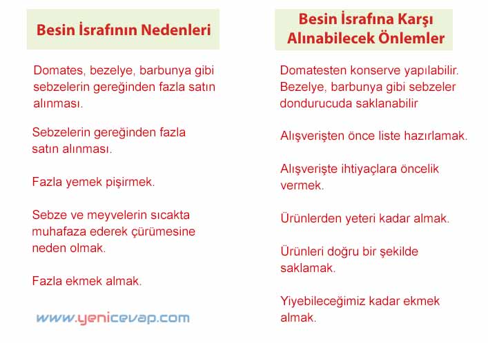 4. Sınıf Fen Bilimleri Kitabı Sayfa 58 61 62 65 Cevapları Meb
