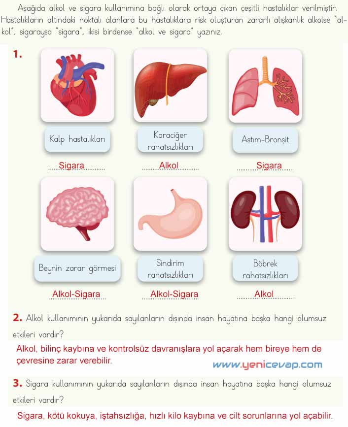 4. Sınıf Fen Bilimleri Kitabı Sayfa 58 61 62 65 Cevapları Meb