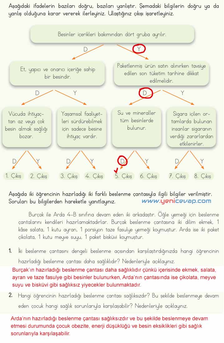 4. Sınıf Fen Bilimleri Kitabı Sayfa 66 67 68 Cevapları Meb