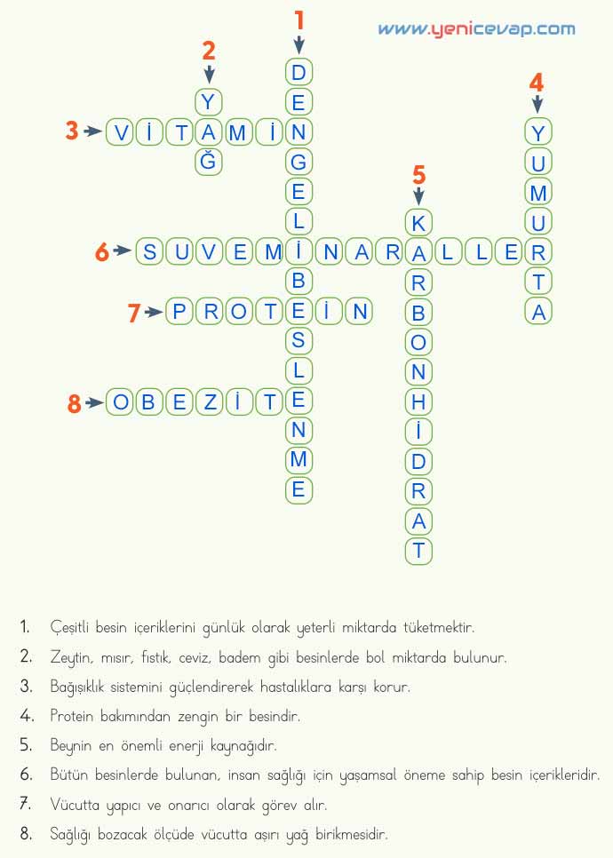 4. Sınıf Fen Bilimleri Kitabı Sayfa 66 67 68 Cevapları Meb