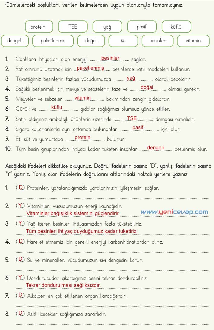 4. Sınıf Fen Bilimleri Kitabı Sayfa 69 70 71 Cevapları Meb