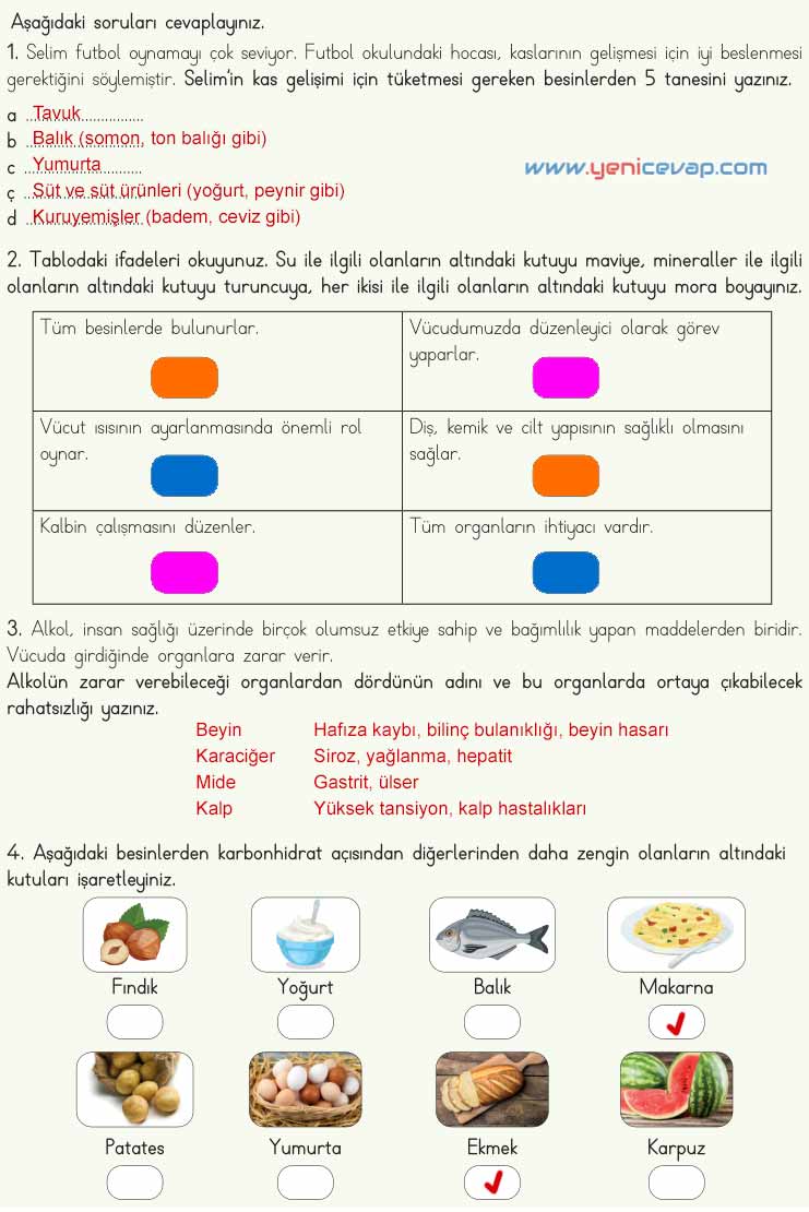 4. Sınıf Fen Bilimleri Kitabı Sayfa 69 70 71 Cevapları Meb