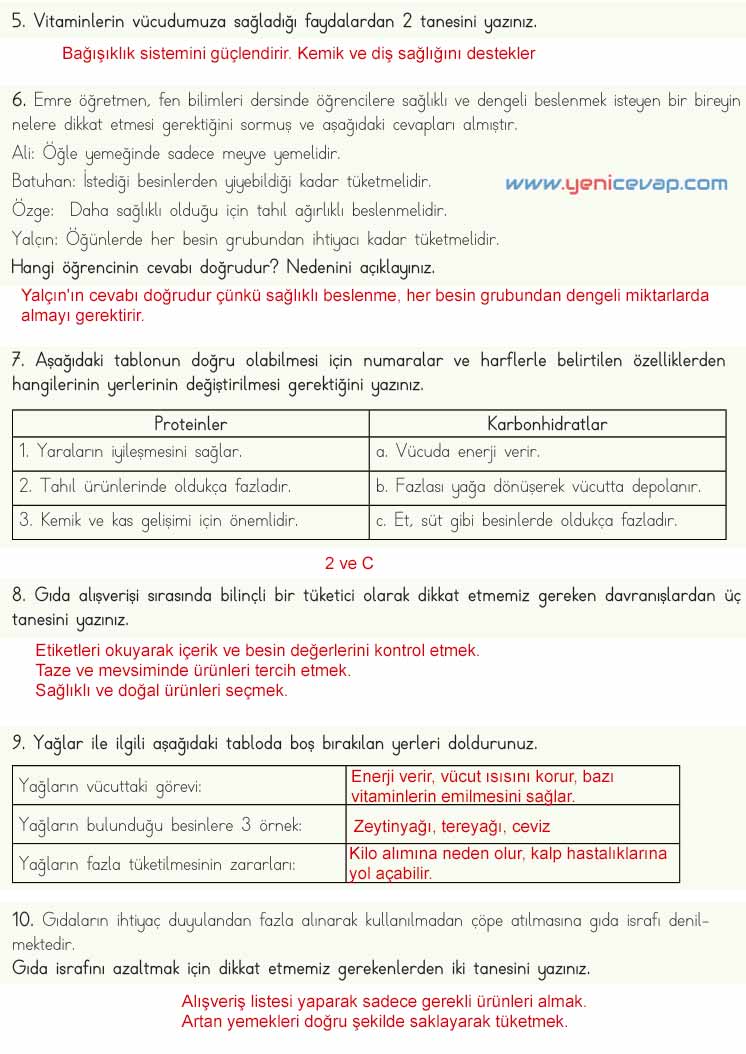 4. Sınıf Fen Bilimleri Kitabı Sayfa 69 70 71 Cevapları Meb