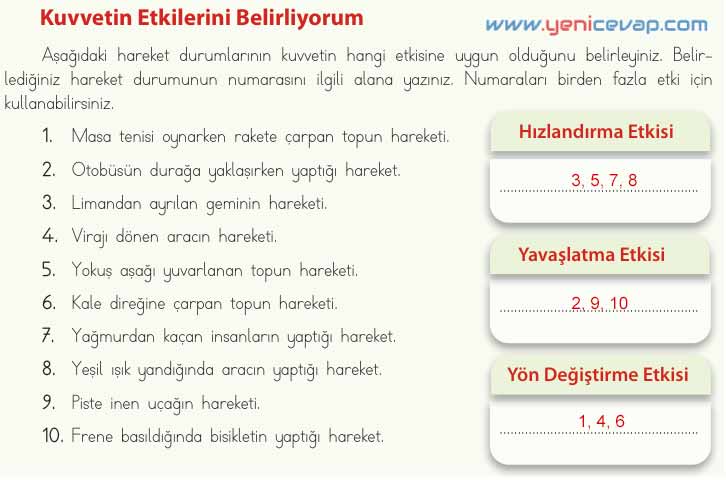4. Sınıf Fen Bilimleri Kitabı Sayfa 74 76 77 78 Cevapları Meb