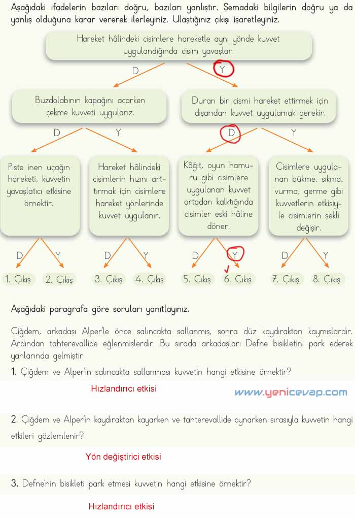 4. Sınıf Fen Bilimleri Kitabı Sayfa 79 81 83 84 Cevapları Meb