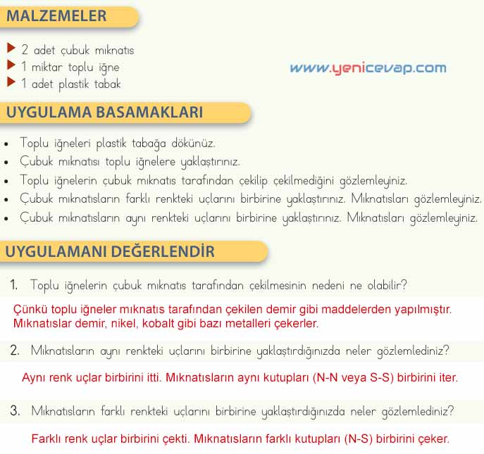 4. Sınıf Fen Bilimleri Kitabı Sayfa 79 81 83 84 Cevapları Meb