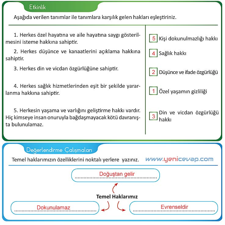 4. Sınıf İnsan Hakları Kitabı Sayfa 12 13 14 15 Cevapları Meb