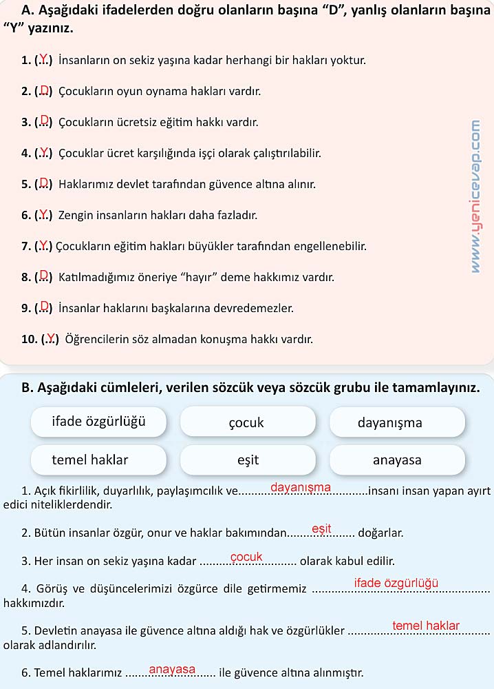 4. Sınıf İnsan Hakları Kitabı Sayfa 20 21 22 23 Cevapları Meb