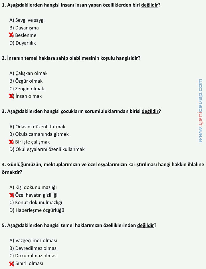 4. Sınıf İnsan Hakları Kitabı Sayfa 20 21 22 23 Cevapları Meb